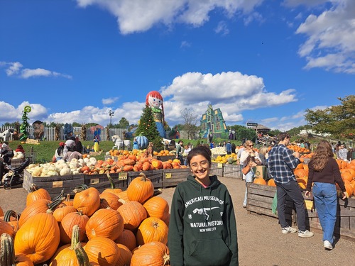 Diana O - Delaware County Community College Babysitter