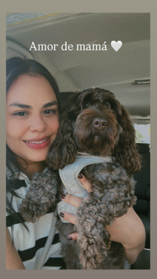 Ambar P - CSI Babysitter