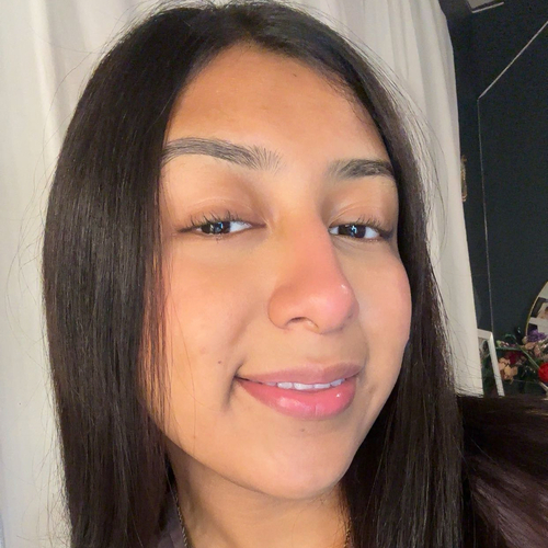 Michelle S - College of Lake County  Babysitter