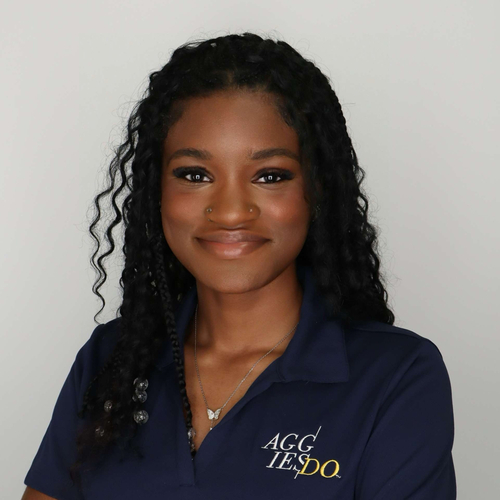 Alaina W - NC A&T Babysitter