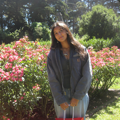 Noor H - Brookhaven College  Babysitter