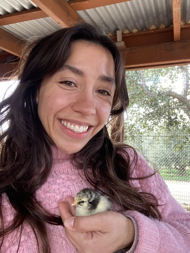 Meredith S - CSUN Babysitter