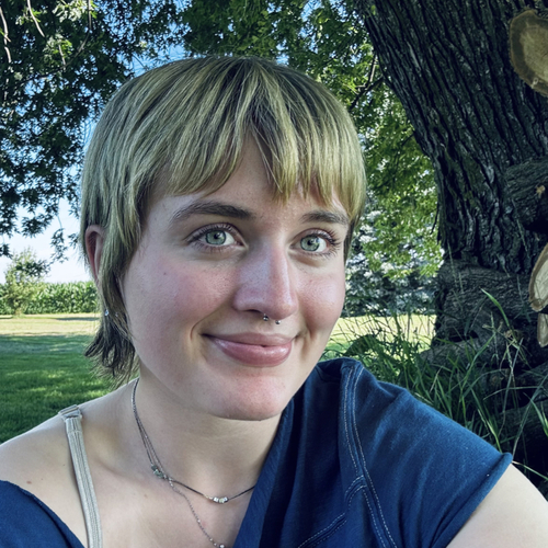 Hazel T - South Central  College-Faribault Babysitter