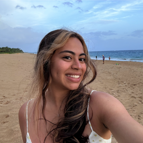 Ericka B - Collin College Babysitter
