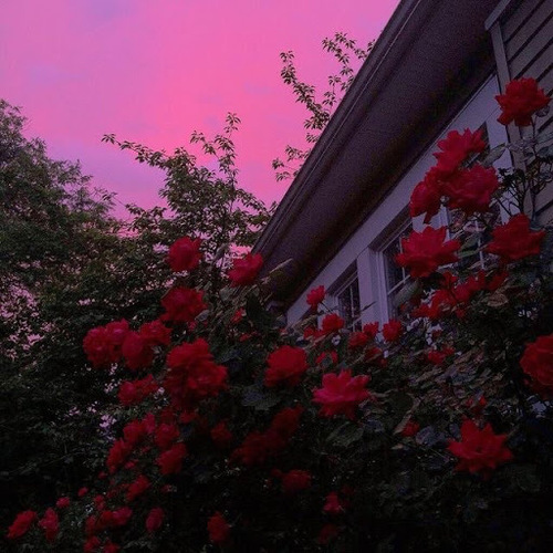 Talia S - Rutgers Babysitter