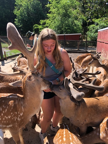 Rose M - Ivy Tech Babysitter