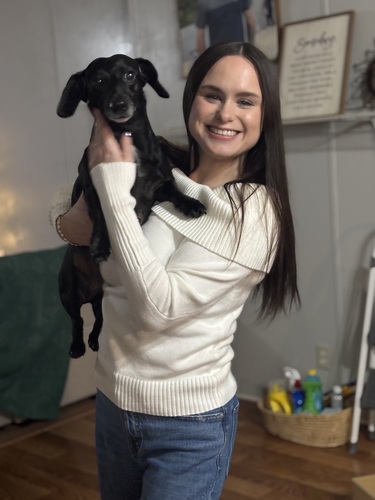 Alyssa L - Bossier Parish Community College Babysitter