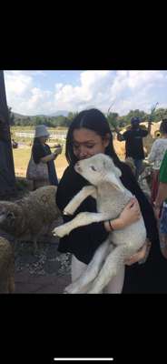 Manida A - Concordia Babysitter