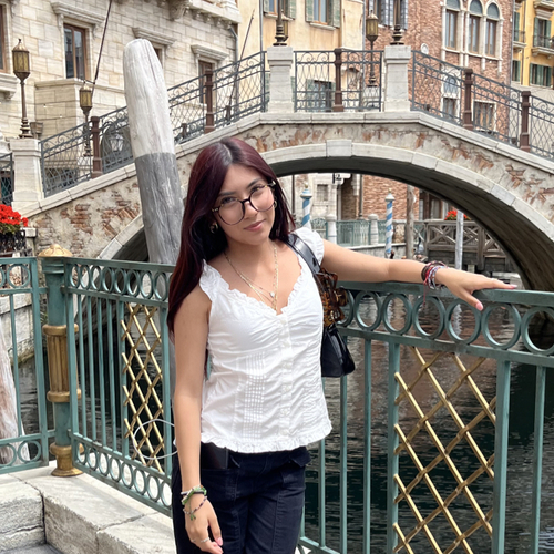 Fernanda L - Henry Ford College Babysitter