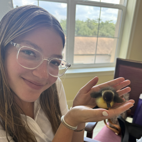 Katie R - Valencia Babysitter