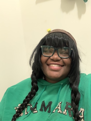 Brianna S - Lincoln College Babysitter