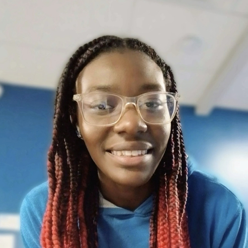 Nakisha D - Undefined Babysitter