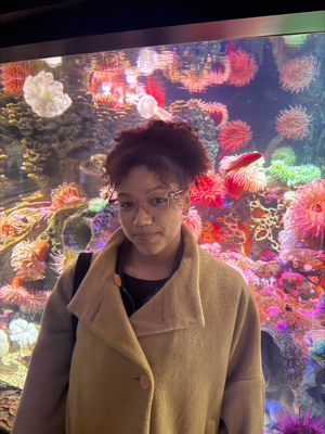 Ursula D - Northeastern University Babysitter