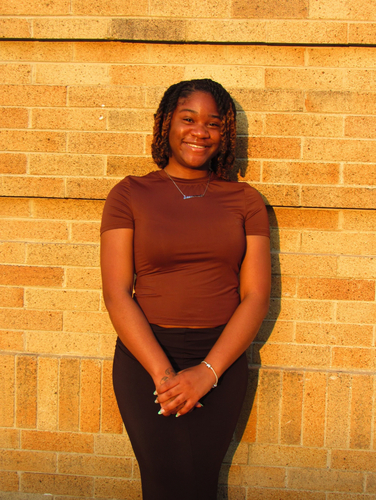 Diamonique R - BGSU Babysitter