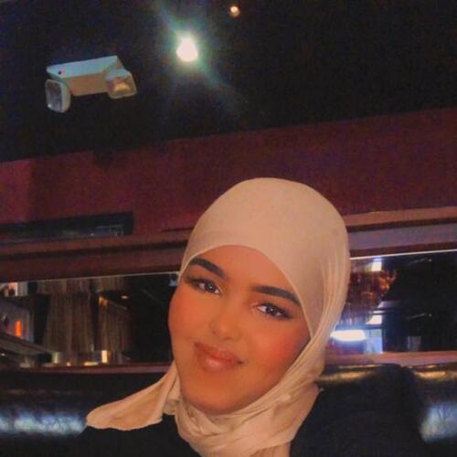 Aisha A - Northland Community & Technical College Babysitter