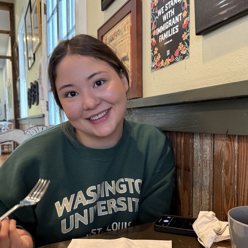 Dominique H - WashU Babysitter