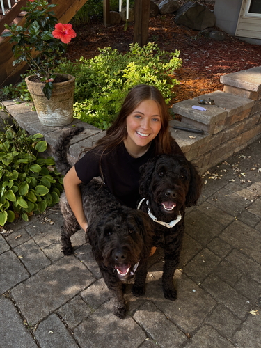 Allie L - La James International College-Davenport Babysitter