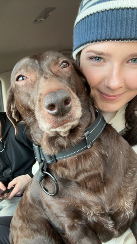 Abbigail B - State Fair Community College  Babysitter