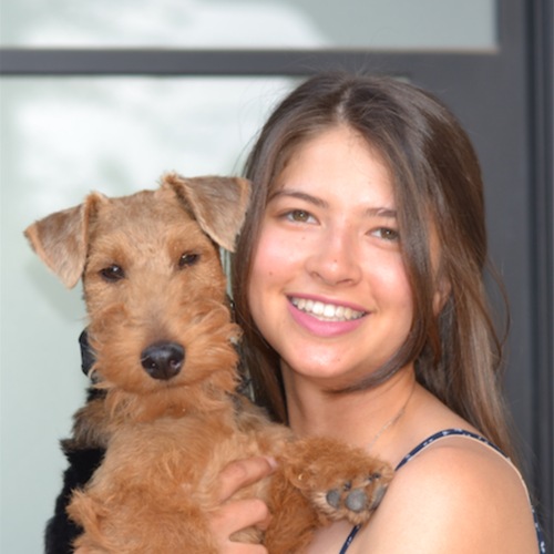 Chloe T - Belmont Babysitter