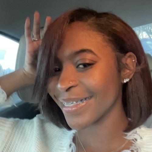 Roslynn T - Wayne County Community College District Babysitter
