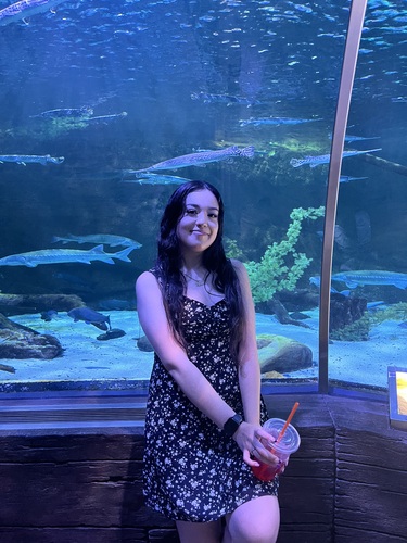 Alexandra E - MSU Mankato Babysitter