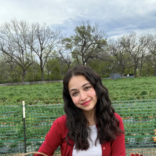 Desirey G – Texas State Student Seeking Babysitting Jobs