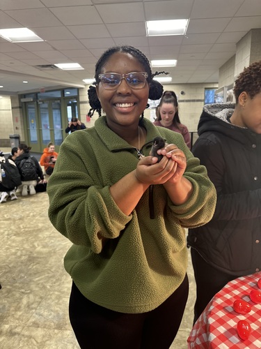 Sabrina J - Youngstown State Babysitter