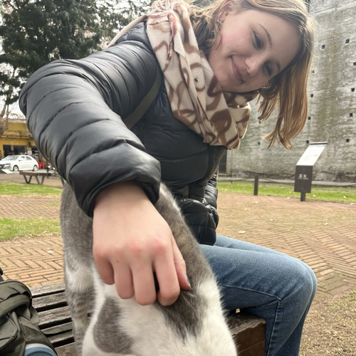 Clio M - Wesleyan Babysitter