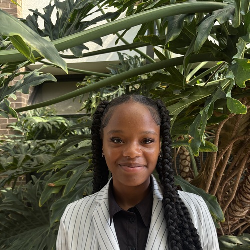 Destiny J - Texas Southern Babysitter