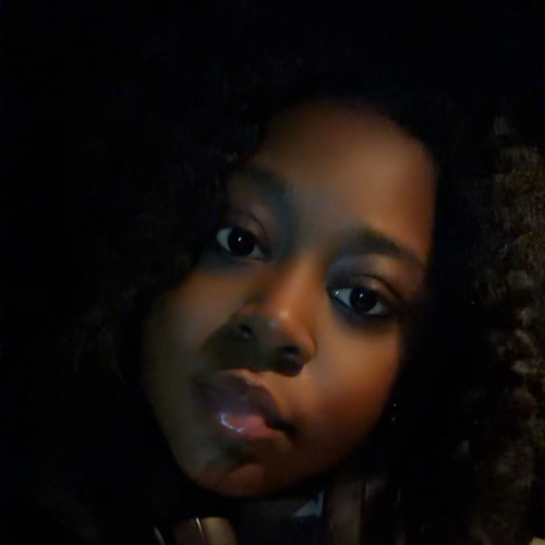 Angela S - Lawson State Community College-Birmingham Campus Babysitter
