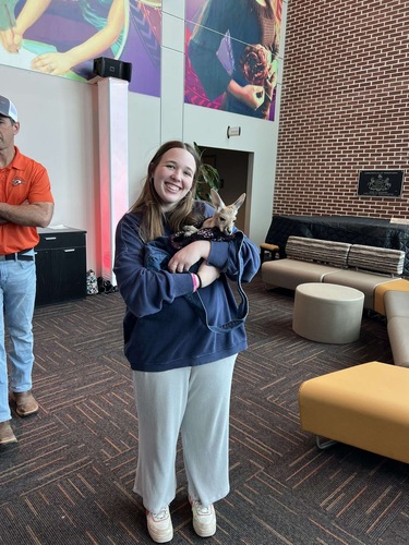 Annie E - Millersville Babysitter