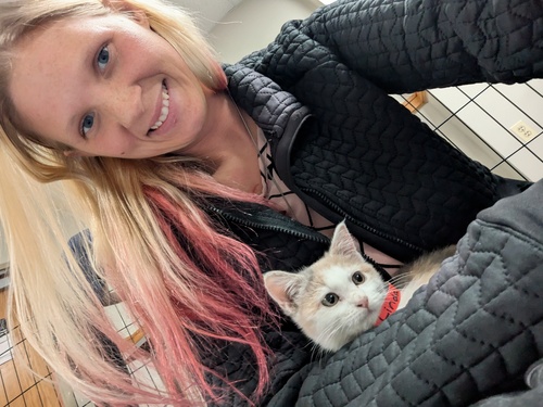 Nicole V - SNHU Babysitter