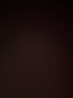 Najma A – WGU Student Seeking Babysitting Jobs