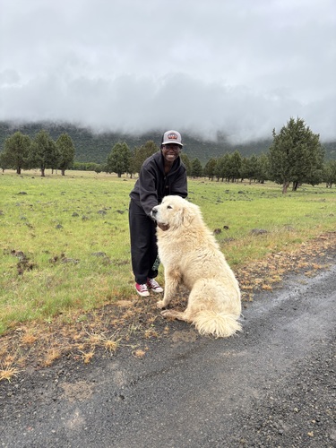 Evelyne H - Shasta Babysitter