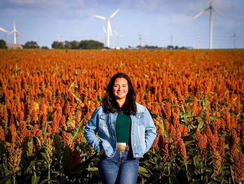 Brianna Z - Texas A&M-Kingsville Babysitter