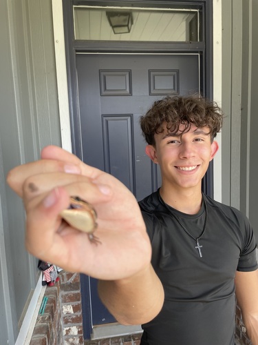 Abel E - Pensacola State College Babysitter