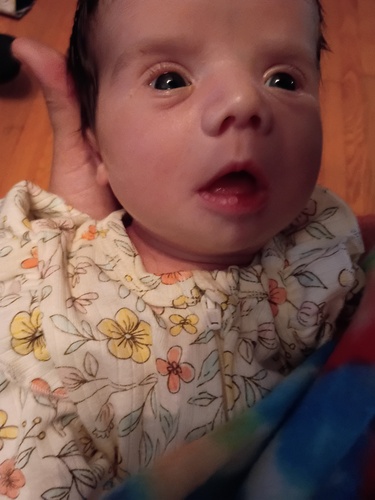 Christina H - Tennessee Tech Babysitter