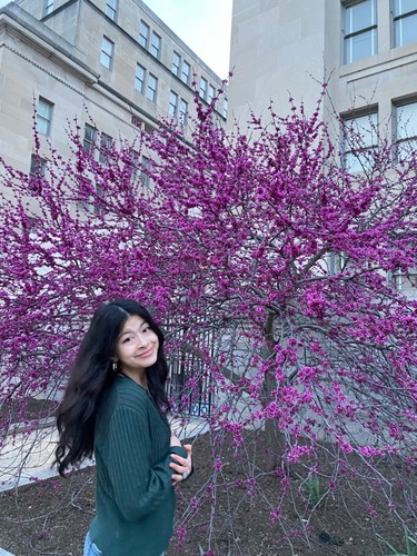 Annabelle Y - GWU Babysitter