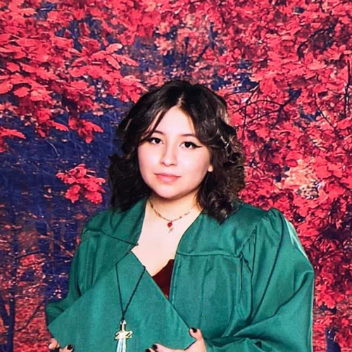 Angela A - City Colleges of Chicago-Wilbur Wright College Babysitter
