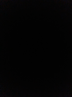 Taneia R - Belhaven Babysitter