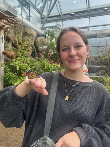 Kinley F - Lee Babysitter