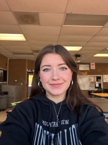 Rachael H - University of Arizona Babysitter