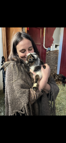 Allie L - Cal State East Bay Babysitter