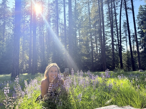 Sedona B - COCC Babysitter