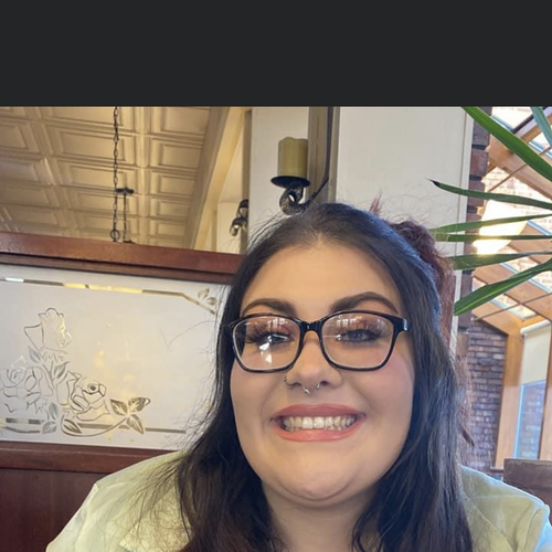 Lauren D - Henry Ford College Babysitter