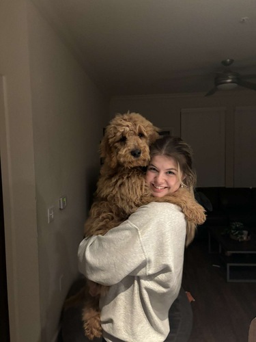 Grace M - UCF Babysitter