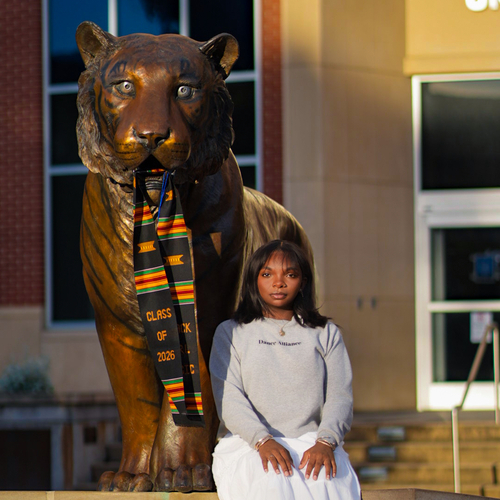 Breanna O - University of Memphis Babysitter