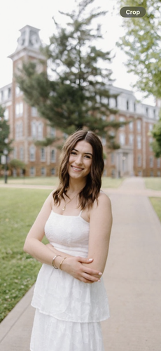 Lauren P - University of Arkansas Babysitter