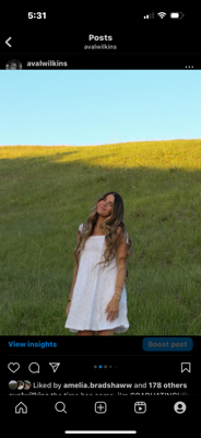 Ava W - WGU Babysitter