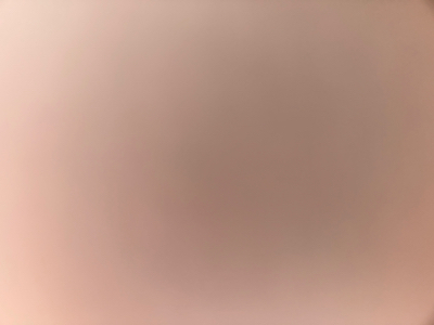 Maeola W - GCU Babysitter